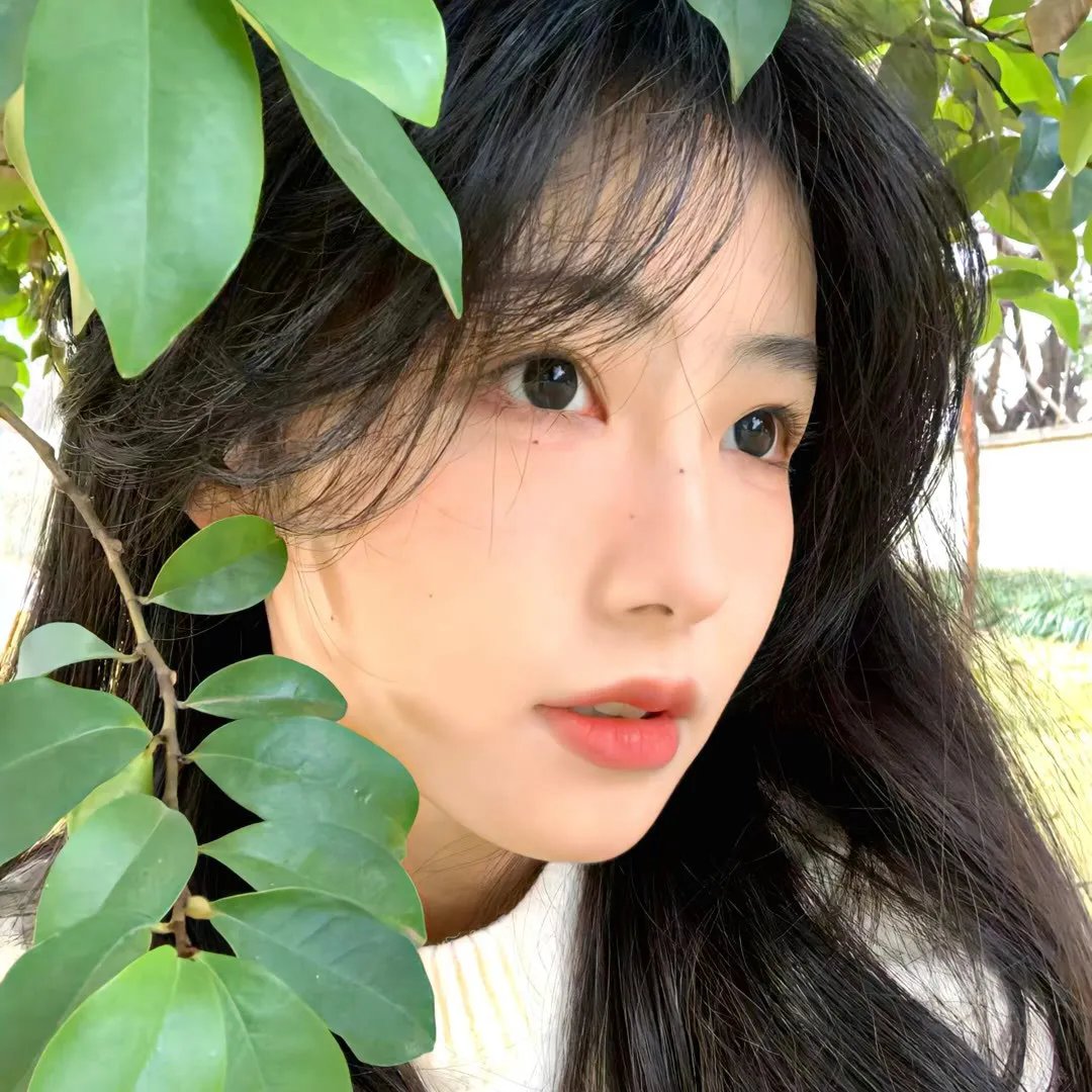 小鱼莉莉